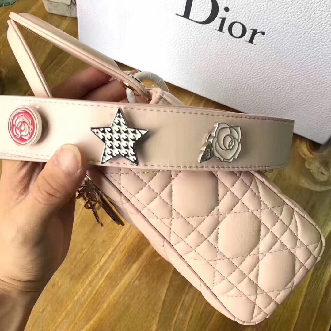 Túi xách Dior siêu cấp