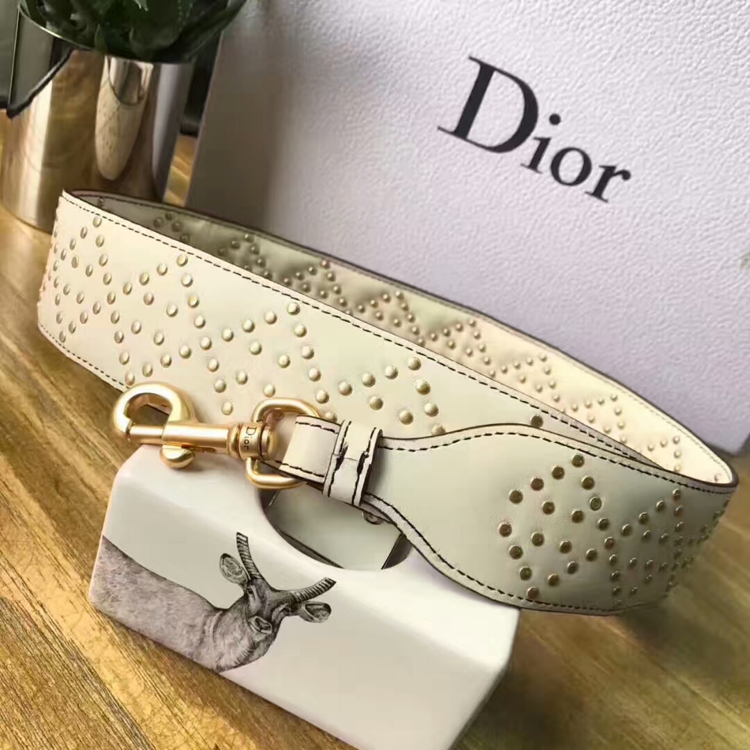 Túi xách Dior siêu cấp